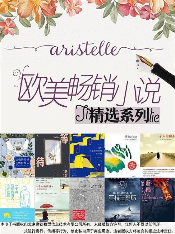 《欧美畅销小说精选系列》套装10册[pdf]