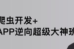 【路飞学城】爬虫开发+APP逆向超级大神班-01期 - 带源码课件