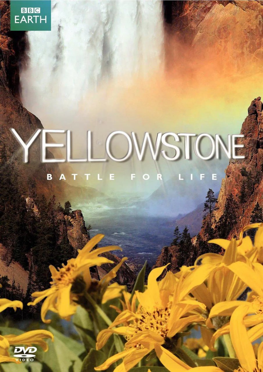BBC.黄石公园.(Yellowstone).2009.1080p.全3集[英语中字]