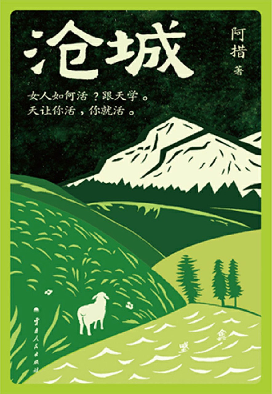 《沧城》(azw3+epub+mobi+pdf)插图 《沧城》(azw3+epub+mobi+pdf)