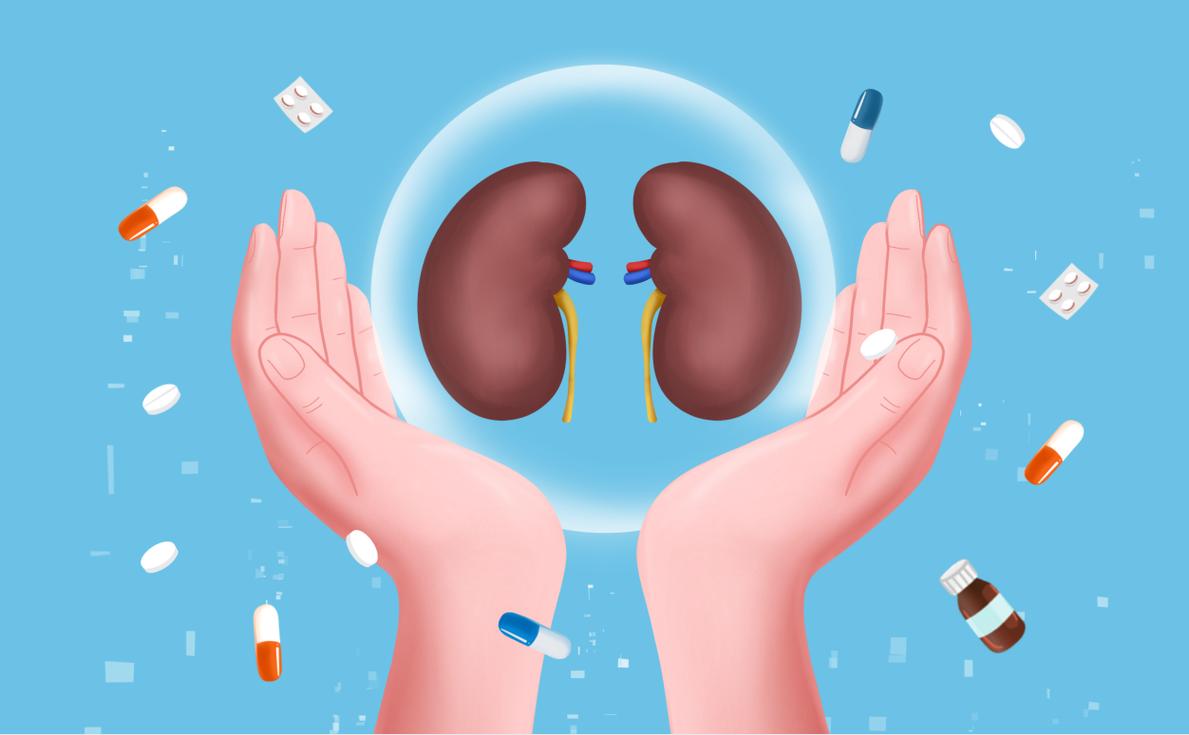 男性健康养生壮阳补肾电子书合集